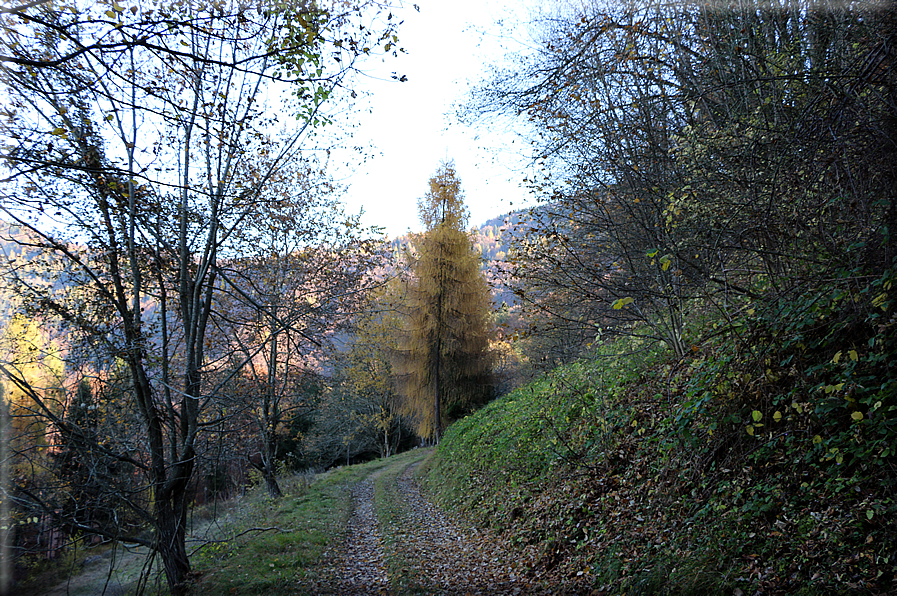 foto Da Rocca di Arsie al Col di Baio